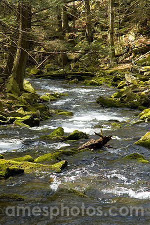 Ravensburg State Park