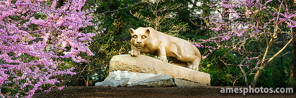 Nittany Lion Springtime Panorama