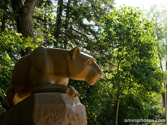 Nittany Lion Statue in June