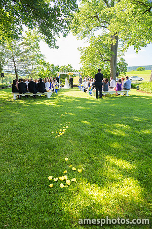 Brookmere Winery, outdoor summer wedding