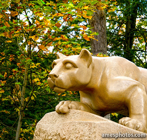Fall around the Nittany Lion