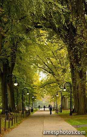 Penn State Elms