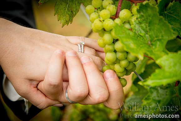 Brookmere Winery Wedding