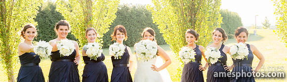 Penn State Arboretum wedding