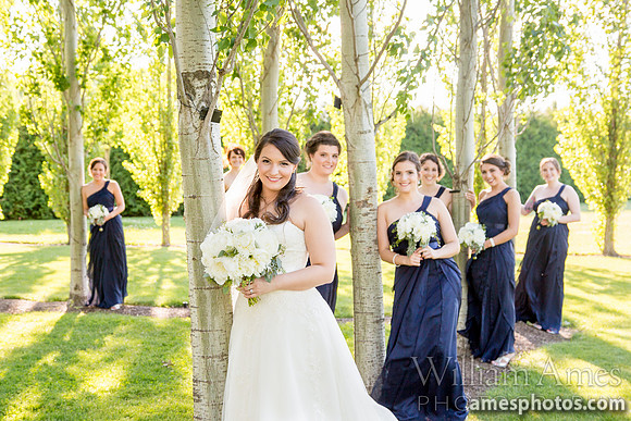 Penn State Arboretum wedding