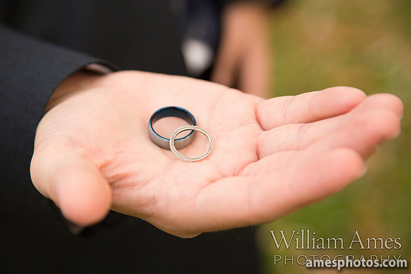 Wedding Photos at Talleyrand Park, Bellefonte PA