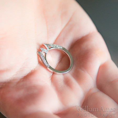 Carnegie Inn Wedding