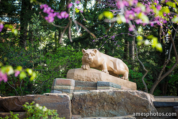 New Nittany Lion Shrine May 2014