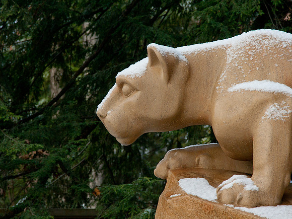 Snowy Nittany Lion profile
